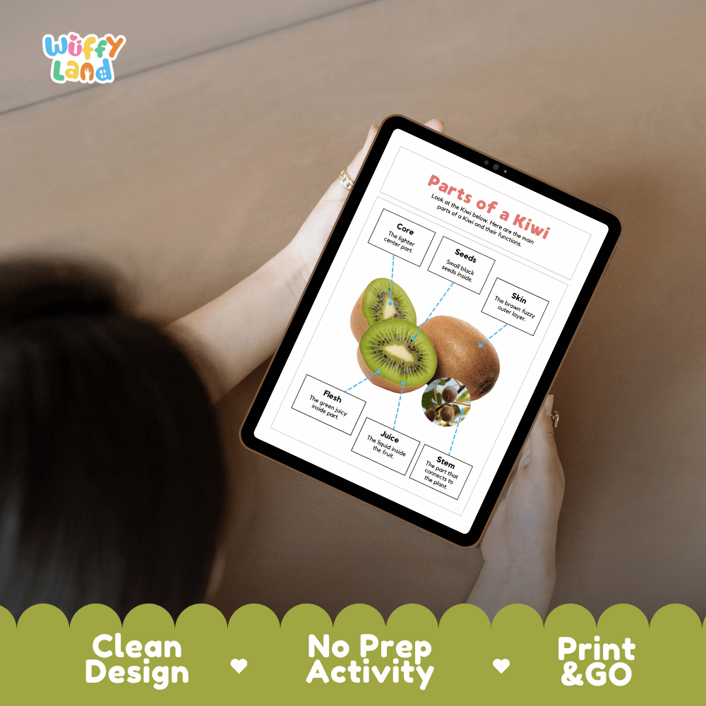 Educational cut and paste kiwi fruit anatomy worksheet with printable word cutout tiles for skin, flesh, core, seeds, juice, and stem