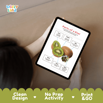 Educational cut and paste kiwi fruit anatomy worksheet with printable word cutout tiles for skin, flesh, core, seeds, juice, and stem