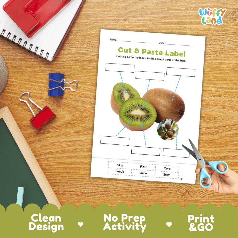 Printable plant biology worksheet showing a realistic sliced kiwi with blank labeling boxes and a vocabulary word bank for writing practice