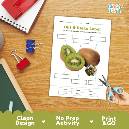 Printable plant biology worksheet showing a realistic sliced kiwi with blank labeling boxes and a vocabulary word bank for writing practice