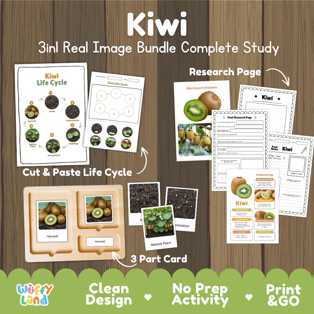 Kiwi vine life cycle 3in1 real image bundle complete study overview featuring cut and paste worksheets, Montessori 3-part cards, and research pages from Wuffy Land 🥝🌱