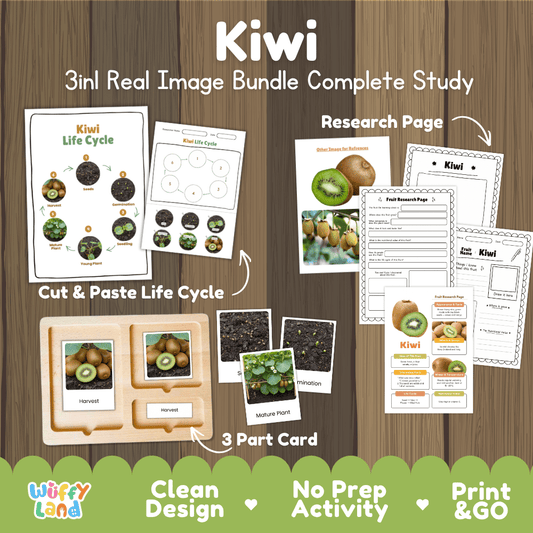 Kiwi vine life cycle 3in1 real image bundle complete study overview featuring cut and paste worksheets, Montessori 3-part cards, and research pages from Wuffy Land 🥝🌱