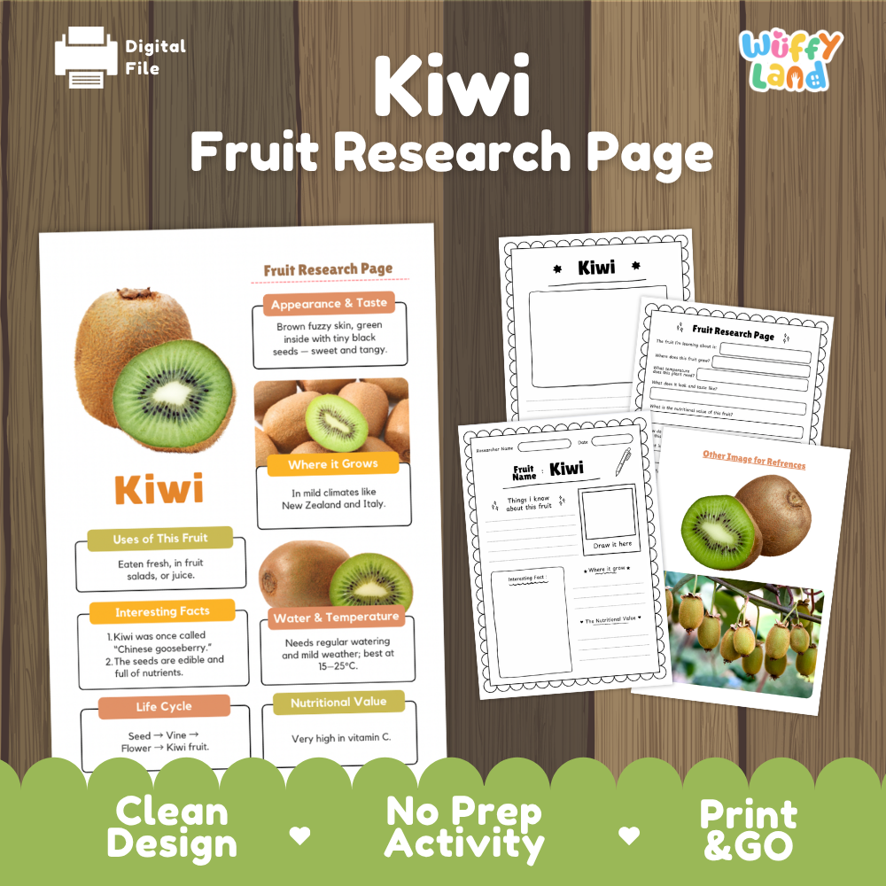 Kiwi Fruit Research Page Worksheets and Fact Sheet