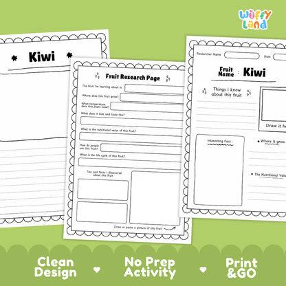 Kiwi Fruit Research Page Worksheets and Fact Sheet