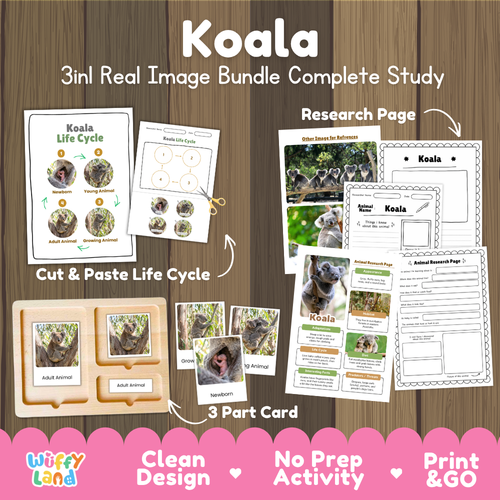 Koala 3-in-1 real image bundle complete study cover showing cut and paste life cycle, 3 part cards, and research pages