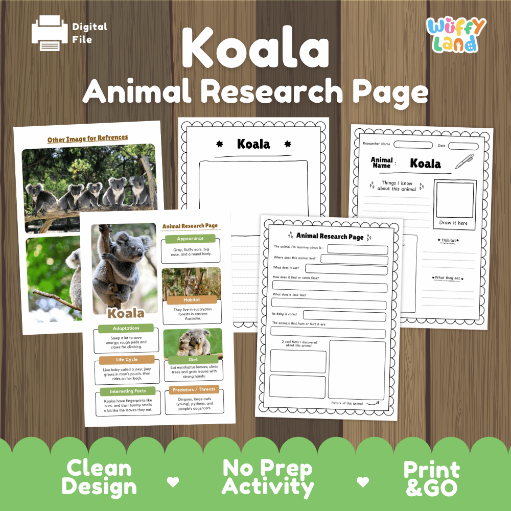 Koala Animal Research Page Graphic Organizers and Worksheets