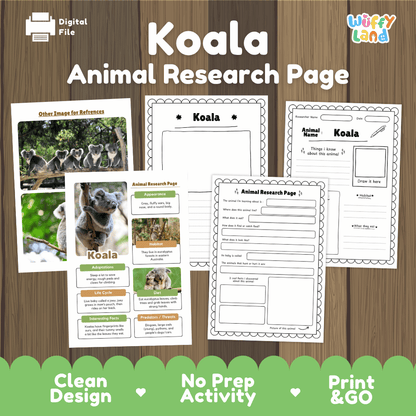 Koala Animal Research Page Graphic Organizers and Worksheets