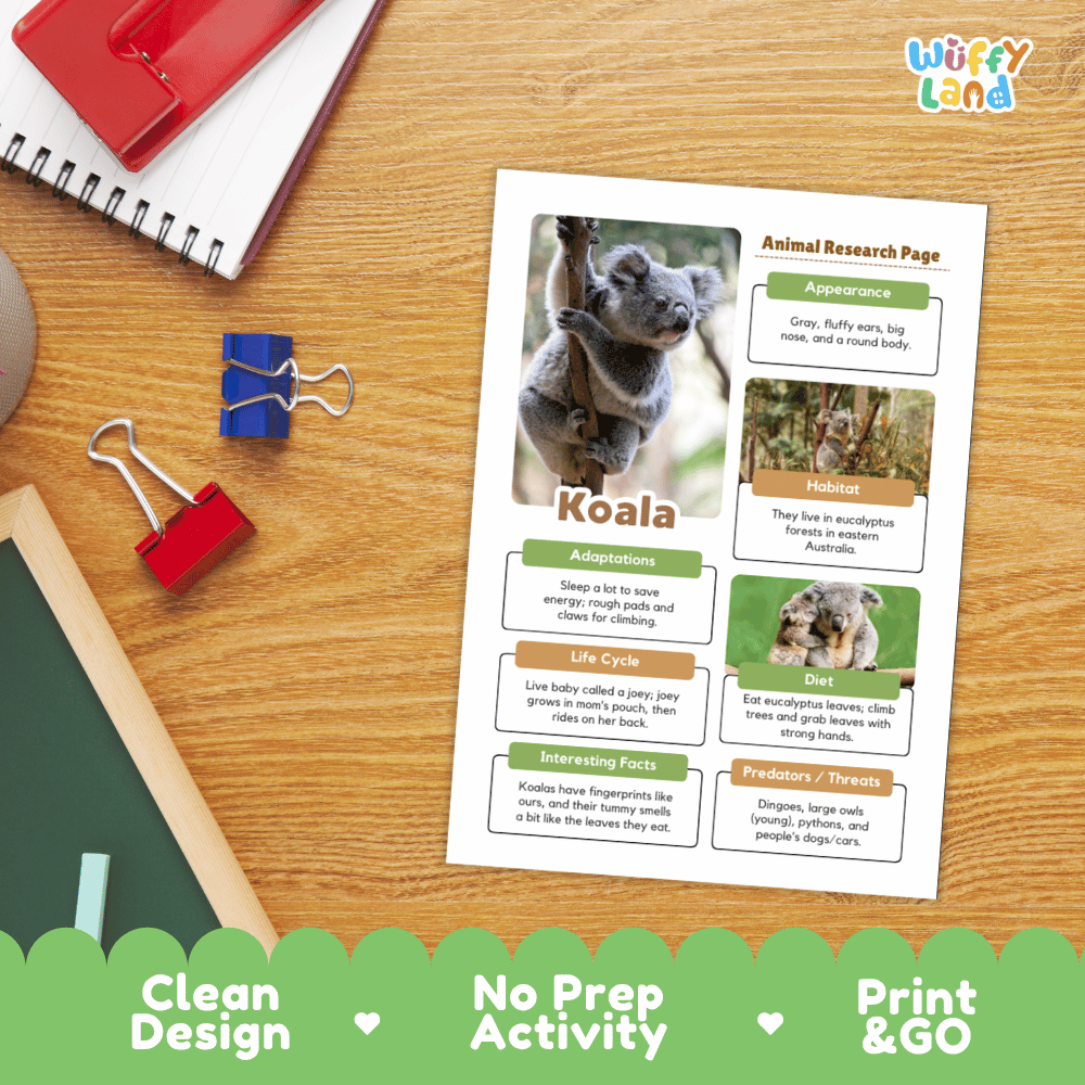 Koala Animal Research Page Graphic Organizers and Worksheets