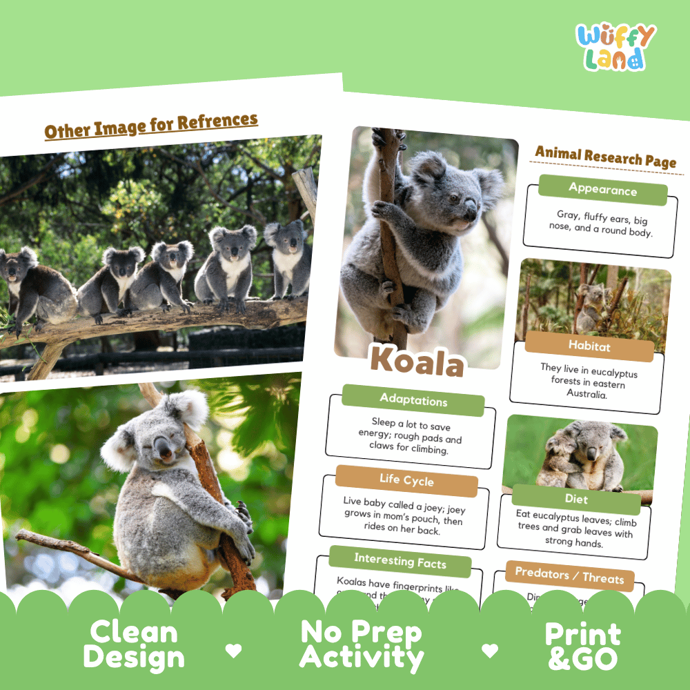 Activity sheet and reference card set about koalas from Wuffly Land, featuring photos of koalas, text sections on appearance, habitat, adaptations, life cycle, diet, and interesting facts, with a green border and promotional text at the bottom.