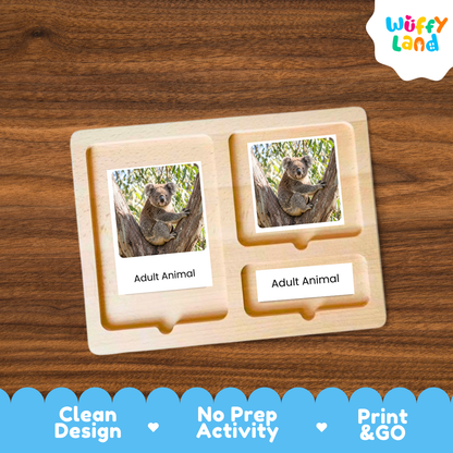 A wooden Montessori-style activity tray with two labeled slots reading 'Adult Animal,' each holding a photo card of an adult koala. The tray is placed on a brown wood surface, with a white cloud logo reading 'Wuffy Land' in the top right and a blue banner at the bottom with marketing text.