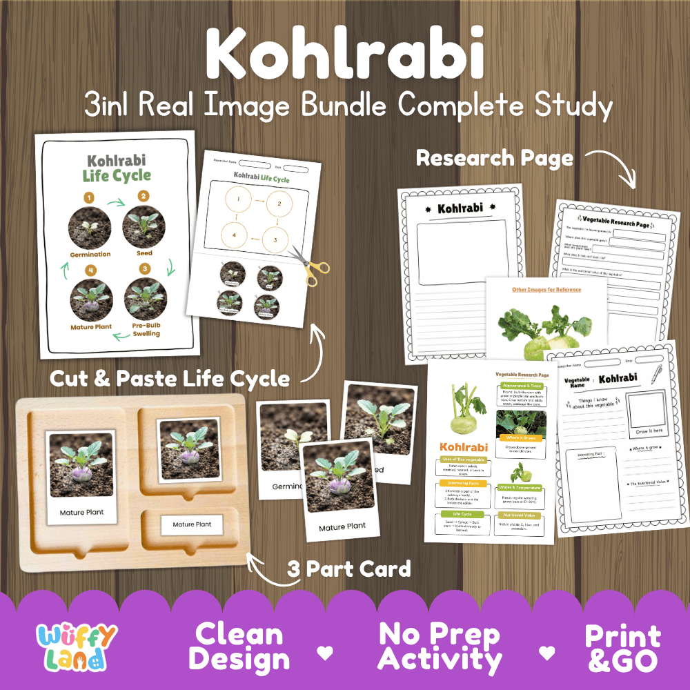 Kohlrabi 3in1 real image bundle complete study printable featuring life cycle cut and paste worksheets, Montessori 3-part cards, and research pages