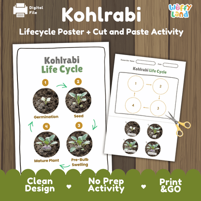 Kohlrabi plant life cycle educational printable pack cover showing visual reference poster and cut and paste sequencing worksheet with real photography