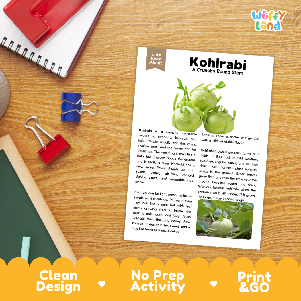 Student reading comprehension worksheet with short-answer questions and lined sections about kohlrabi stem vegetables