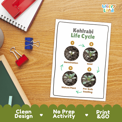 Hands-on cut and paste science worksheet for students to cut real photo tokens and sequence kohlrabi growth stages onto numbered circles