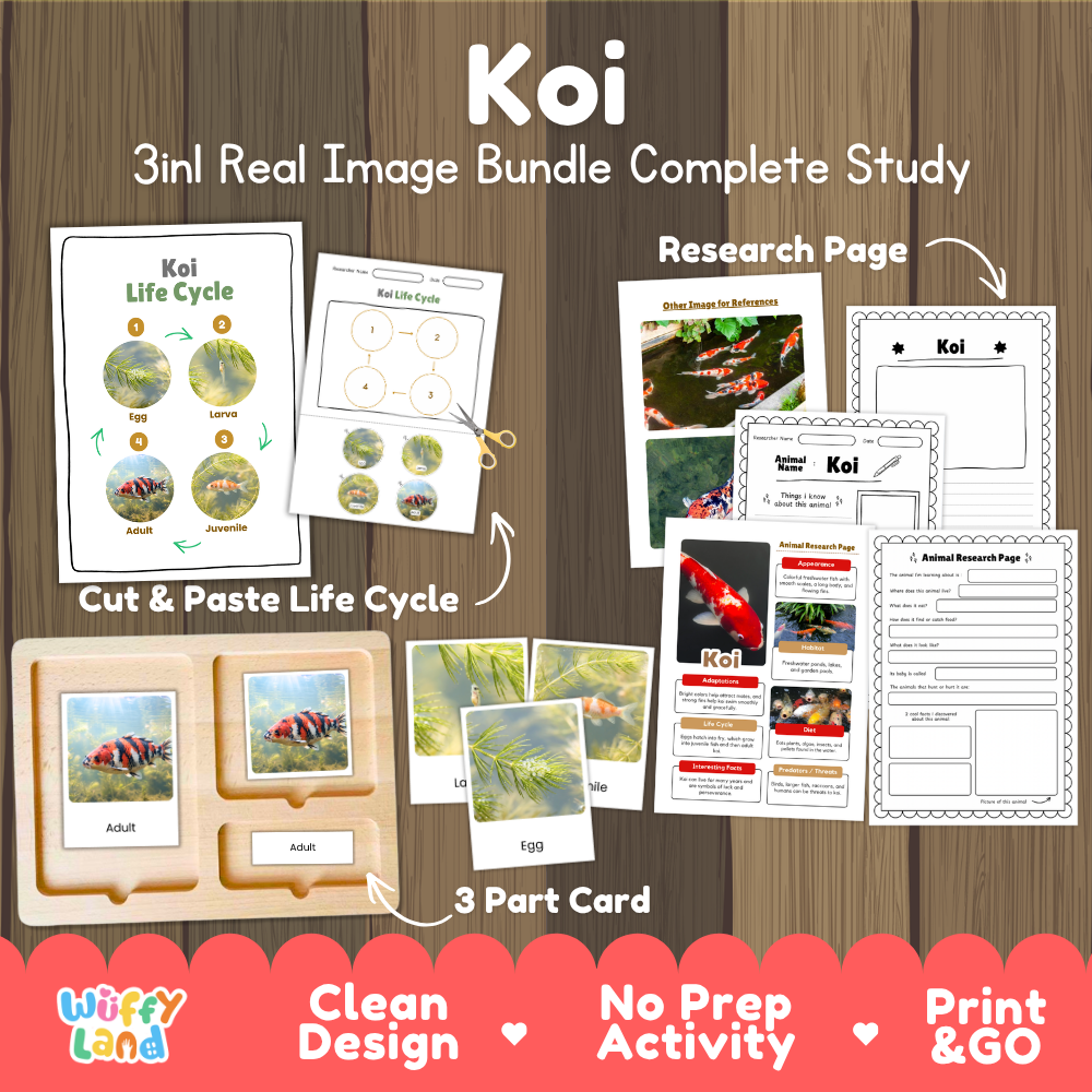 Koi 3-in-1 real image bundle complete study cover showing cut and paste life cycle, 3 part cards, and research pages