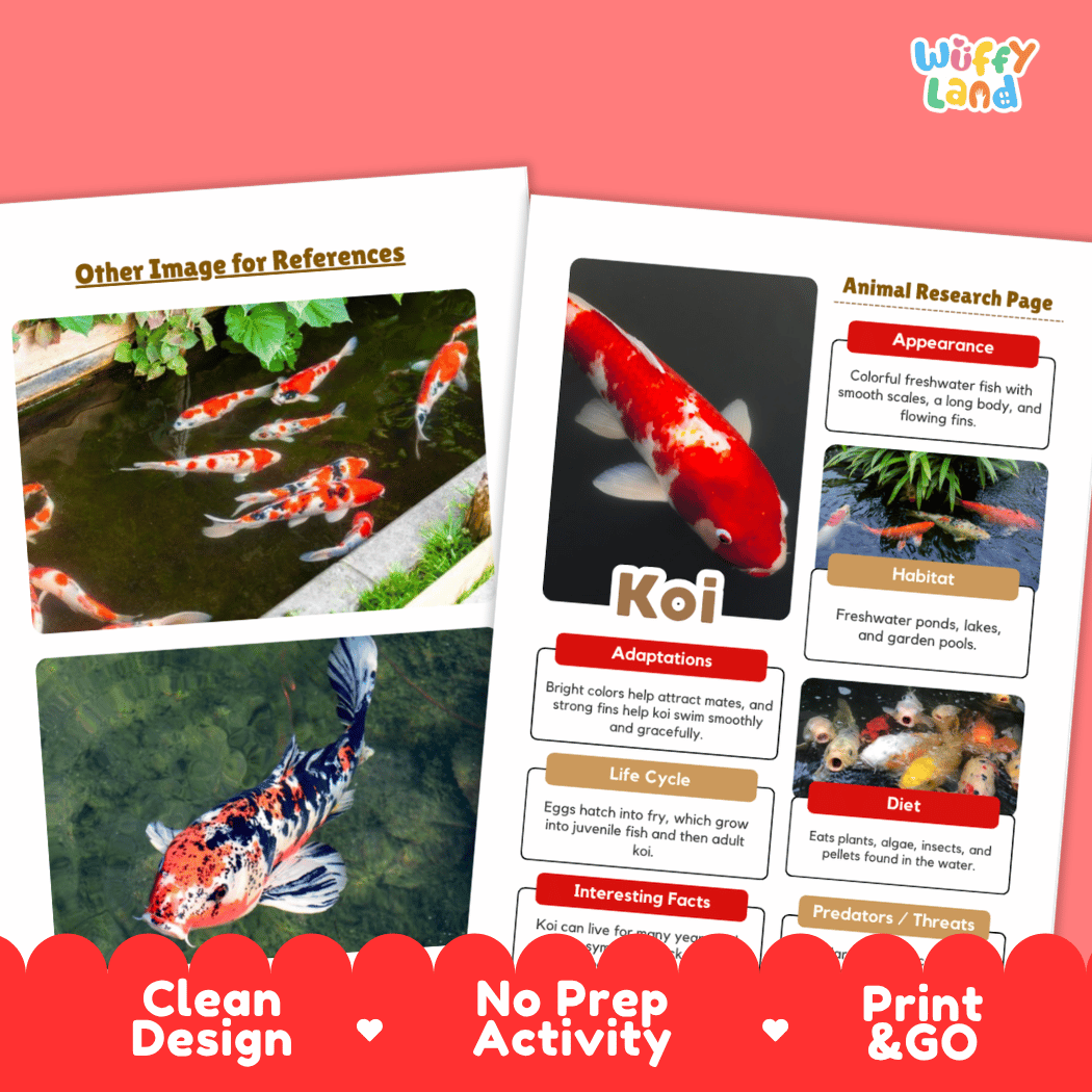 Koi Fish Animal Research Page Worksheets and Fact Sheet Activity