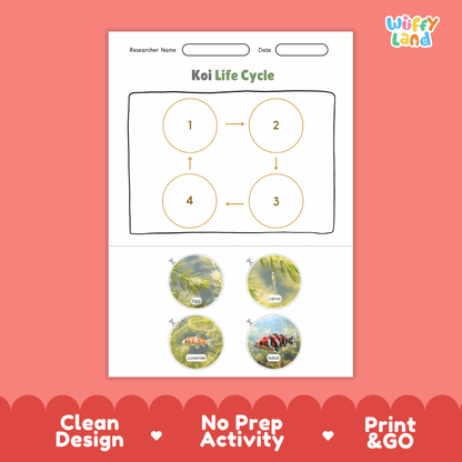 Koi Life Cycle Poster and Cut and Paste Activity Worksheet