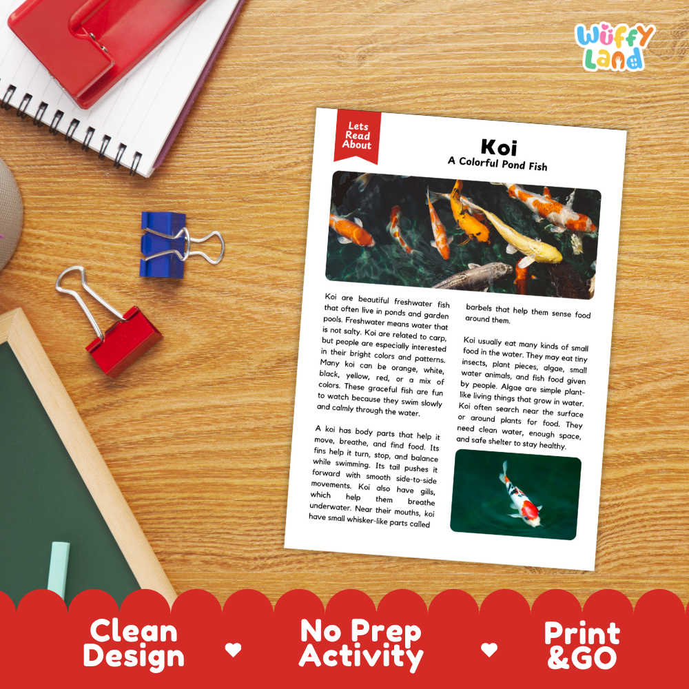 Koi Reading Passage and Comprehension Questions with Answer Key