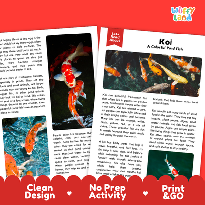 Koi Reading Passage and Comprehension Questions with Answer Key