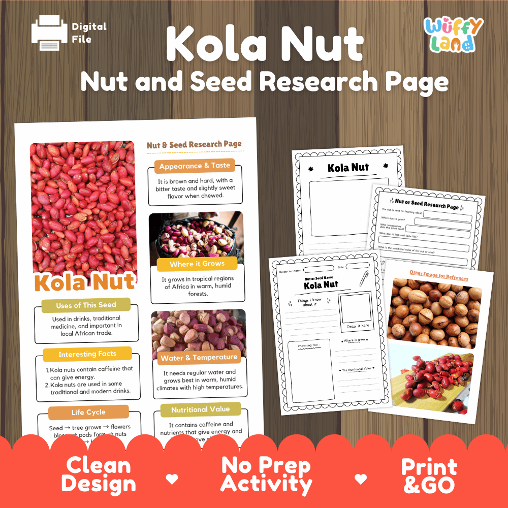Kola Nut Nut and Seed Research Page Worksheets and Fact Sheet