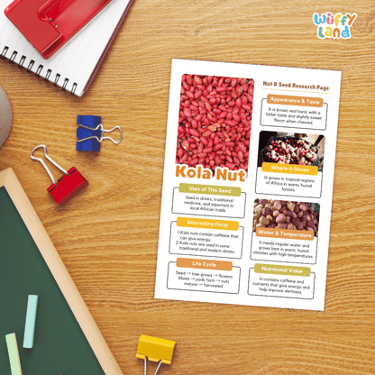 Kola Nut Nut and Seed Research Page Worksheets and Fact Sheet