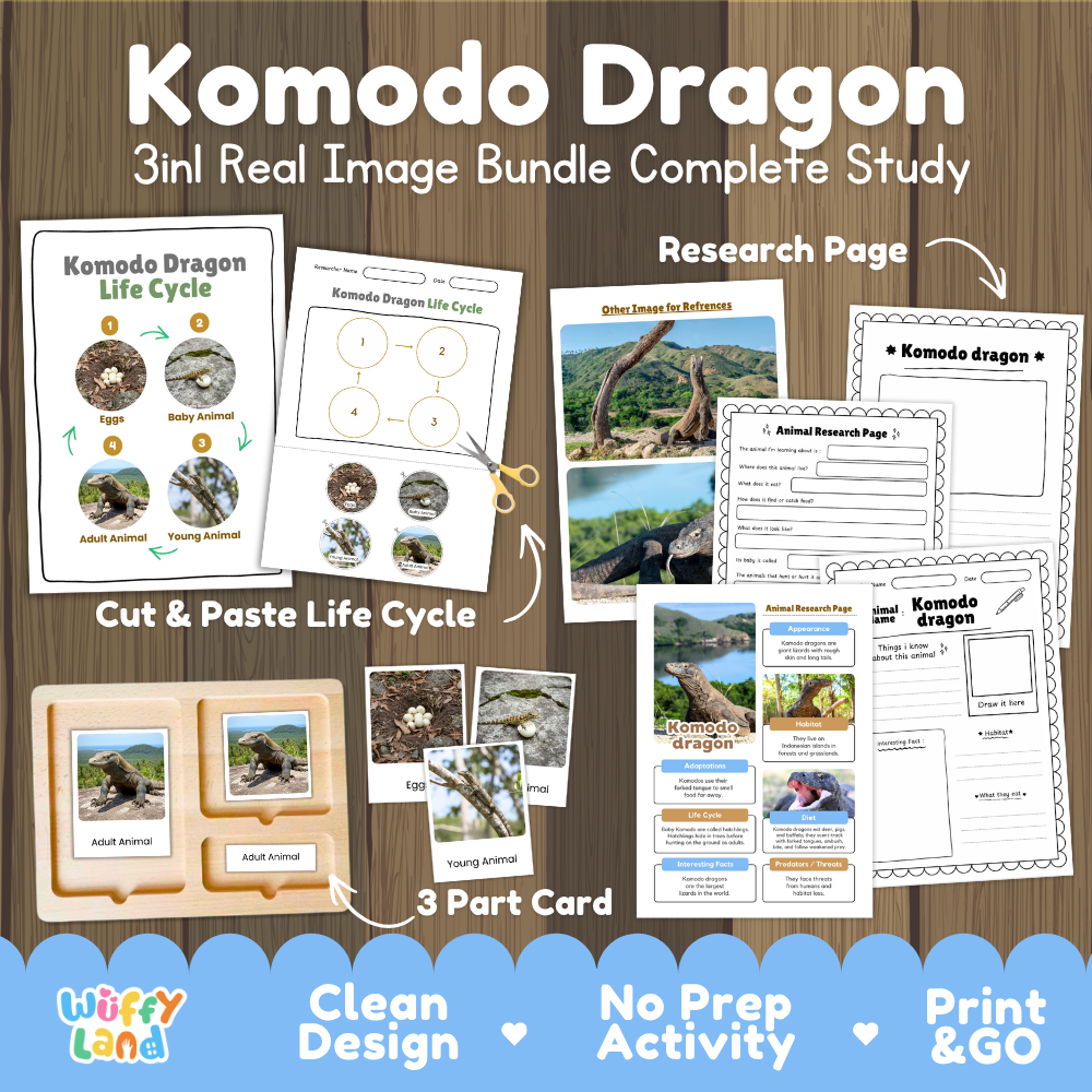 Komodo dragon 3-in-1 real image bundle complete study cover showing cut and paste life cycle, 3 part cards, and research pages
