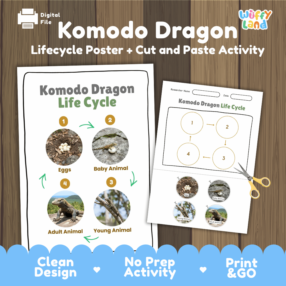 Komodo Dragon Lifecycle Poster and Cut and Paste Activity Worksheets | Reptile Science Printables