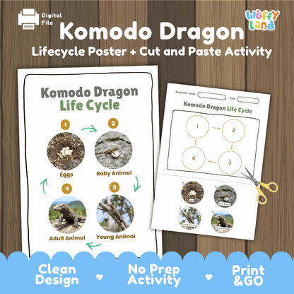 Komodo Dragon Lifecycle Poster and Cut and Paste Activity Worksheets | Reptile Science Printables