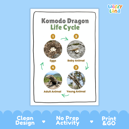 Komodo Dragon Lifecycle Poster and Cut and Paste Activity Worksheets | Reptile Science Printables