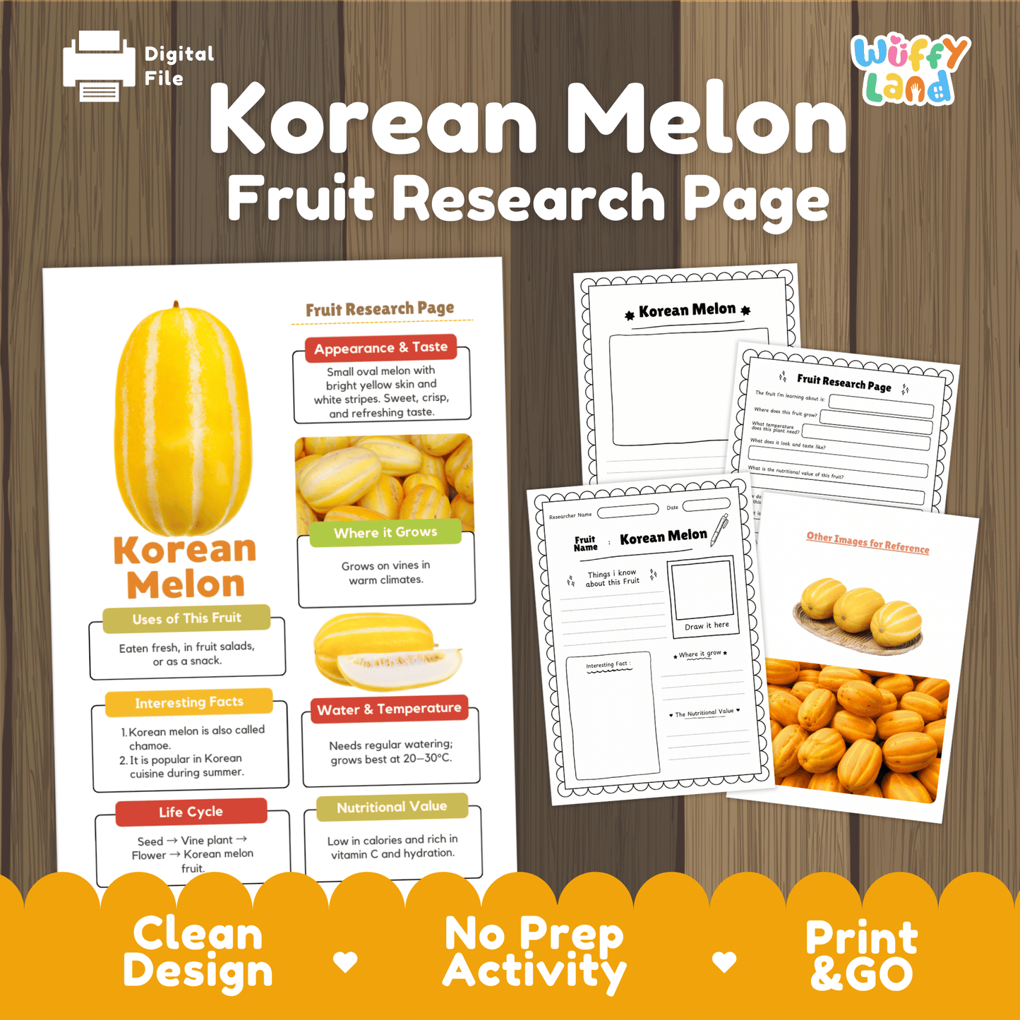 Korean Melon Chamoe Fruit Research Project Science Worksheet Fact Sheet Activity