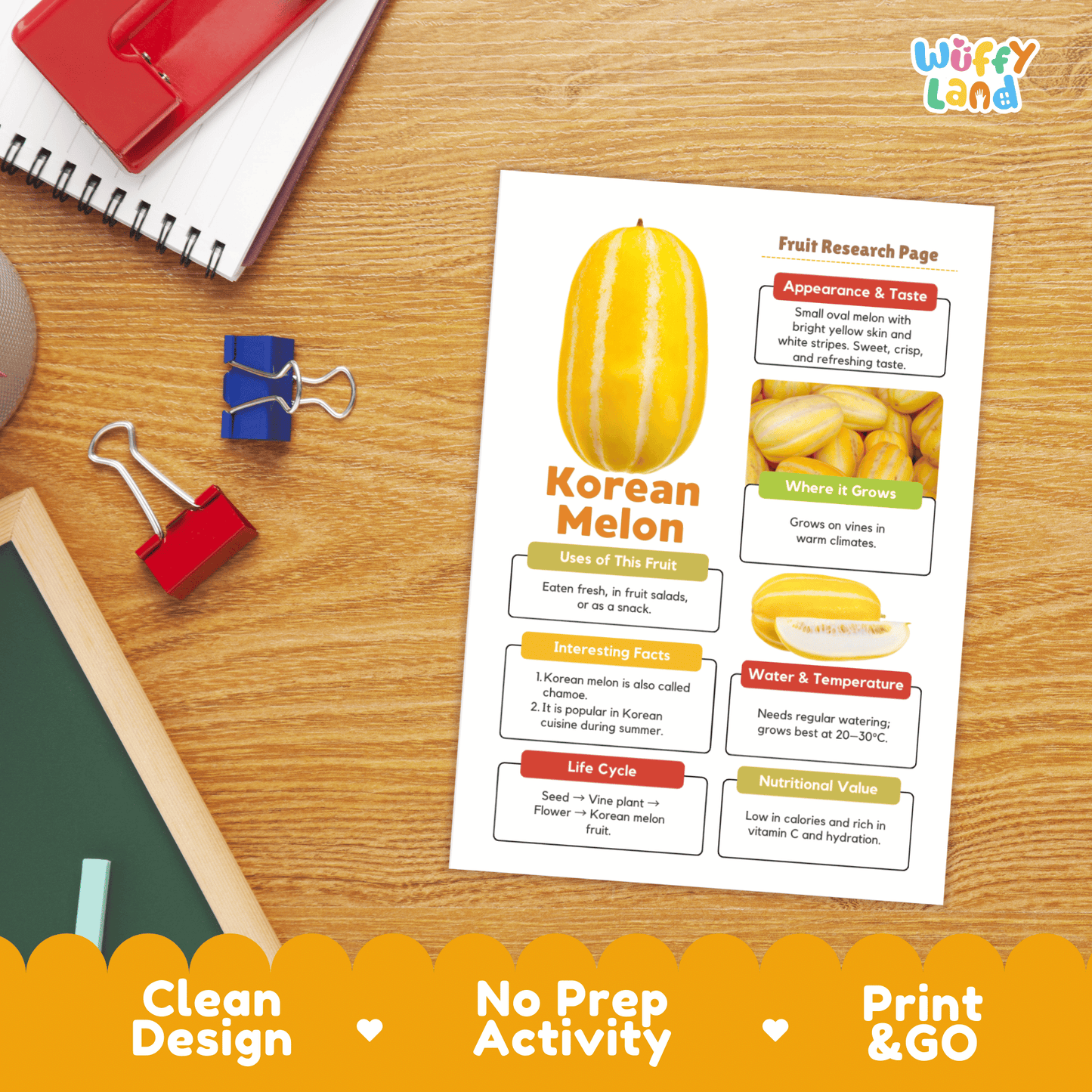 Korean Melon Chamoe Fruit Research Project Science Worksheet Fact Sheet Activity