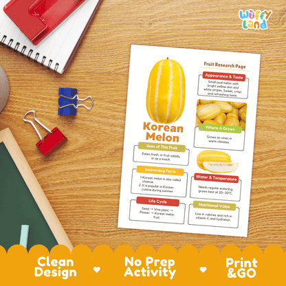 Korean Melon Chamoe Fruit Research Project Science Worksheet Fact Sheet Activity