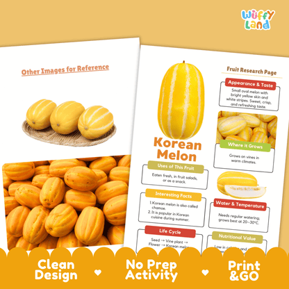Korean Melon Chamoe Fruit Research Project Science Worksheet Fact Sheet Activity
