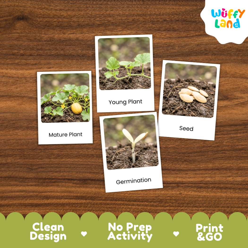 Four educational plant growth cards labeled Mature Plant, Young Plant, Seed, and Germination arranged on a brown wood background, with a Wuffy Land logo in the top right and a green banner at the bottom reading Clean Design, No Prep Activity, Print & GO.