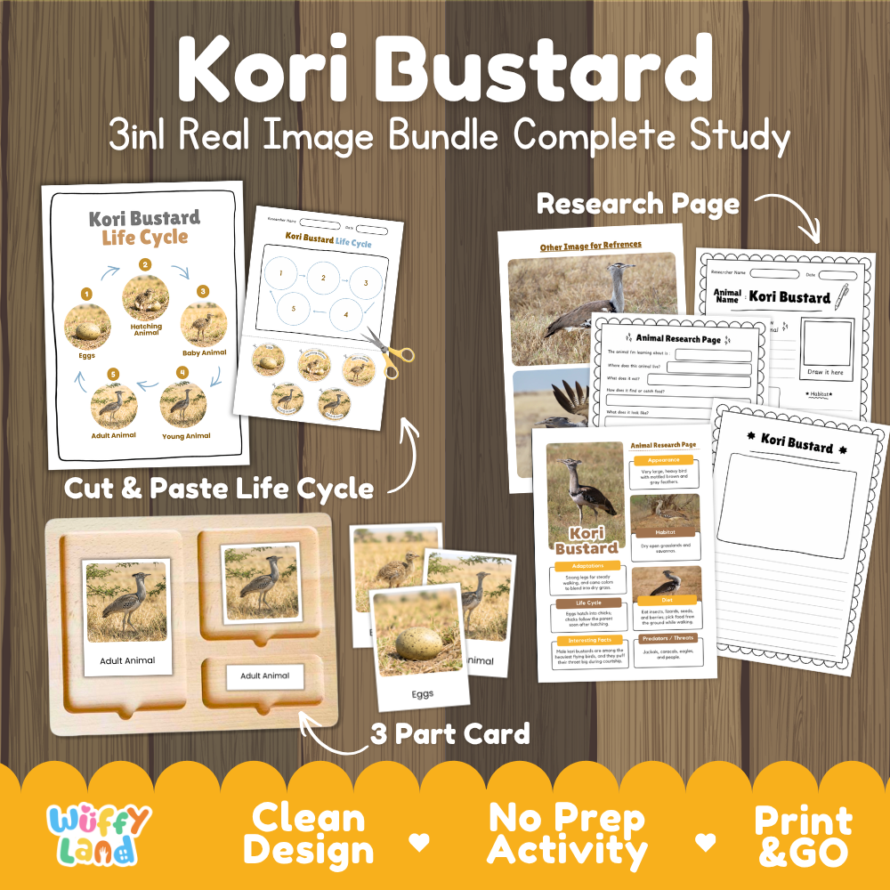 Kori bustard 3-in-1 real image bundle complete study cover showing cut and paste life cycle, 3 part cards, and research pages