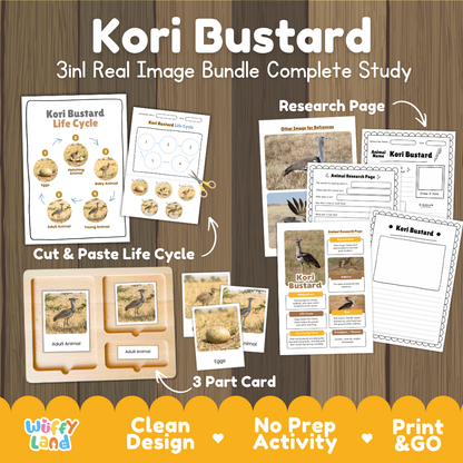 Kori bustard 3-in-1 real image bundle complete study cover showing cut and paste life cycle, 3 part cards, and research pages