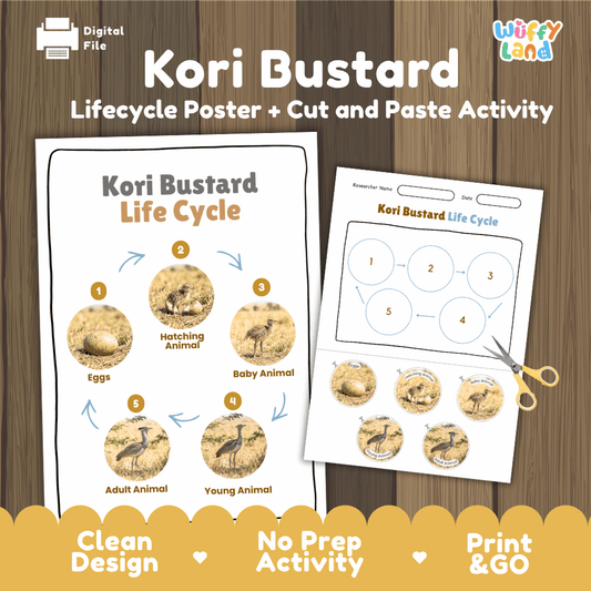 Kori bustard life cycle sequencing reference chart and cut and paste student worksheet with 5 developmental stages