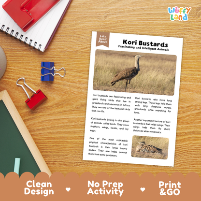 Kori Bustard Reading Passage and Comprehension Questions Worksheets