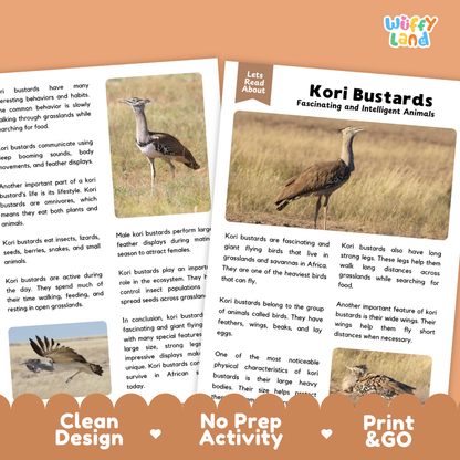 Kori Bustard Reading Passage and Comprehension Questions Worksheets