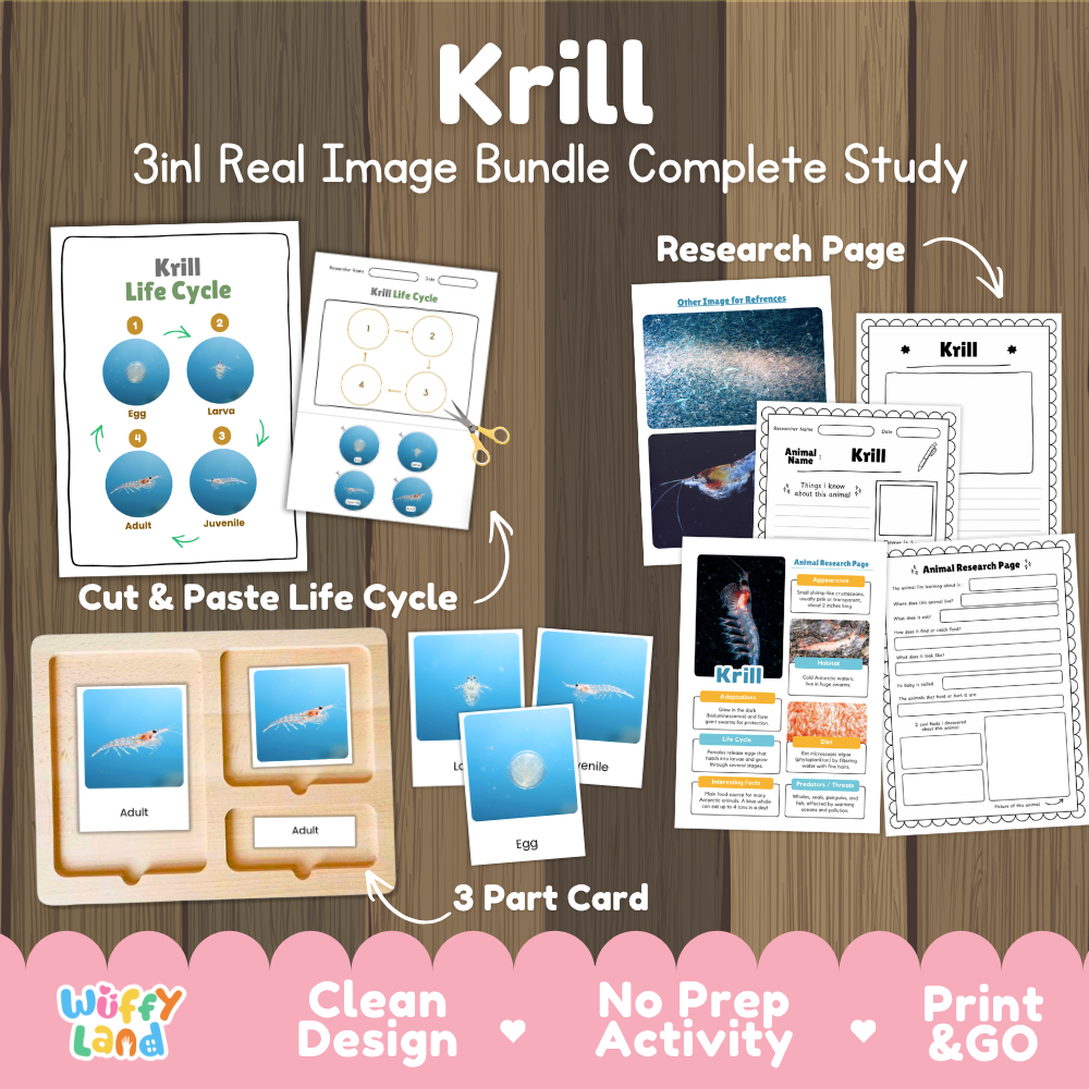 Krill 3-in-1 real image bundle complete study cover showing cut and paste life cycle, 3 part cards, and research pages