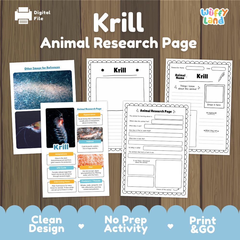Krill Animal Research Page Worksheets
