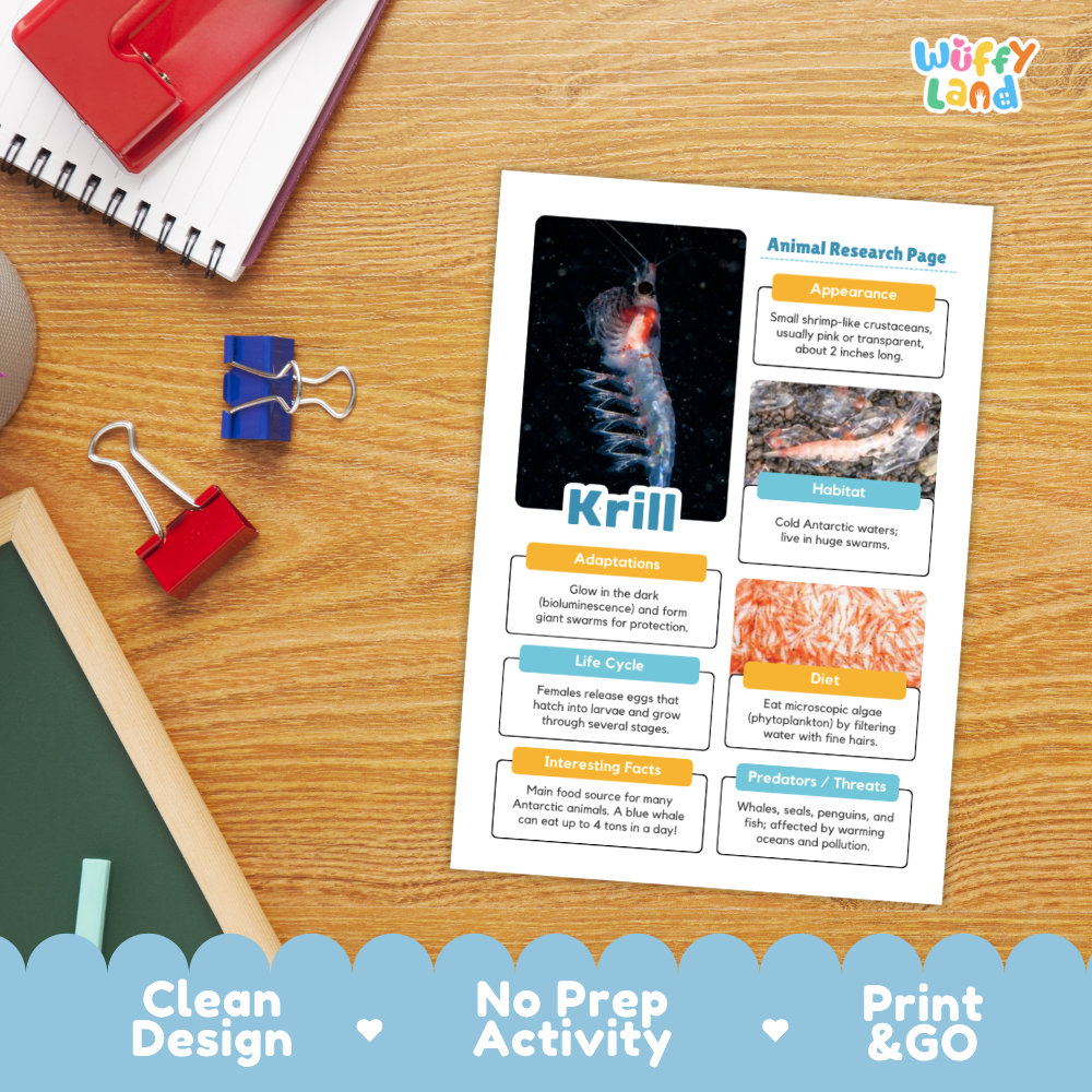 An educational animal research activity sheet about Krill, displayed on a wooden desk with school supplies. The white sheet features a black-and-white krill photo, colorful text boxes, and sections for adaptation, habitat, diet, and predators.