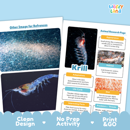 Two printed activity sheet pages for a krill research activity, displayed on a light blue background with decorative text at the bottom. The left page shows a krill photo with the heading 'Other Image for References,' and the right page shows an 'Animal Research Page' with labeled sections about appearance, habitat, adaptations, life cycle, diet, and interesting facts.