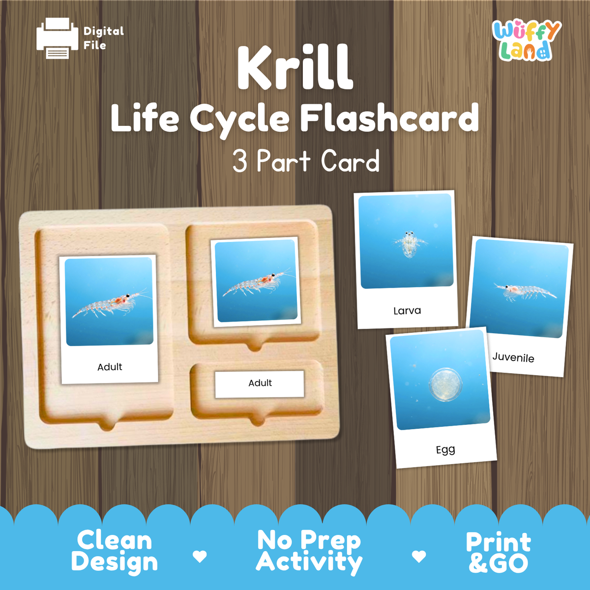 Krill Life Cycle Flashcard set by Wiffy Land, featuring a wooden 3-part card tray with labeled sections for Adult, Larva, and Egg, alongside three separate card images showing the krill stages. The background is a wood plank texture with promotional text at the bottom.