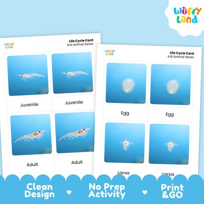 Two printed life cycle cards for Krill Animal Ids on a light blue background, with the Wuffly Land logo in the top right and promotional text along the bottom.