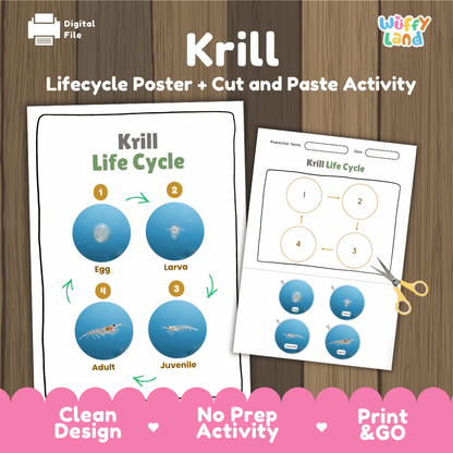 Krill Life Cycle Poster and Cut and Paste Activity Worksheets