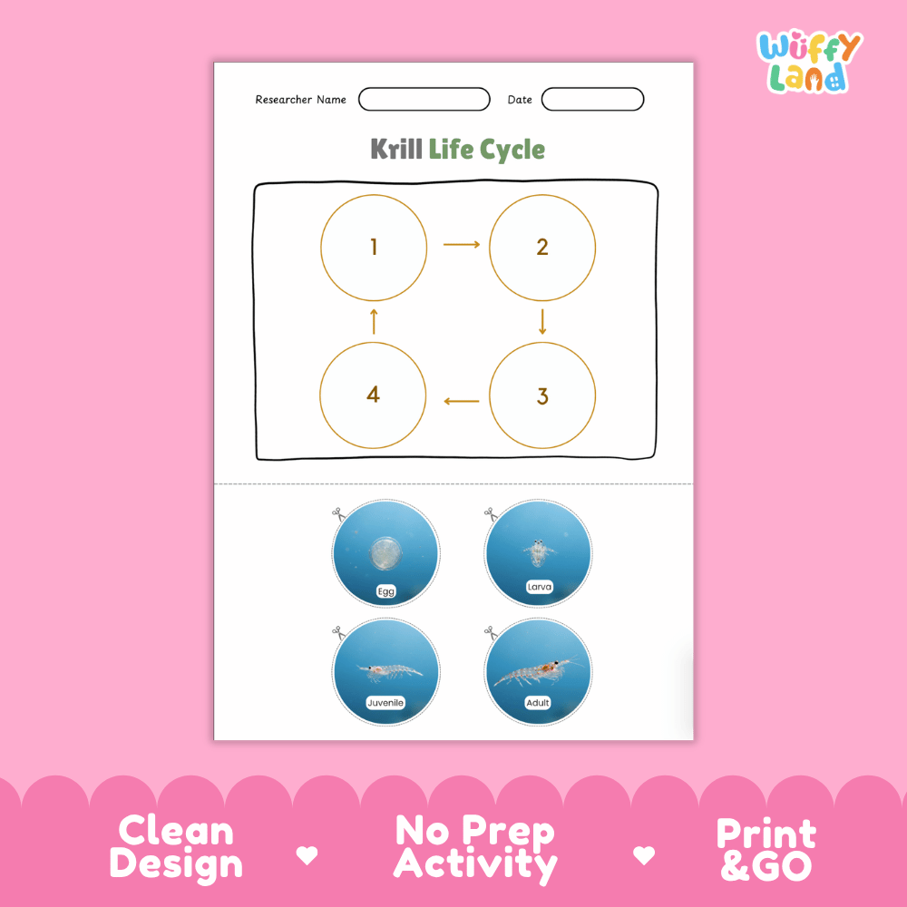 Krill Life Cycle Poster and Cut and Paste Activity Worksheets
