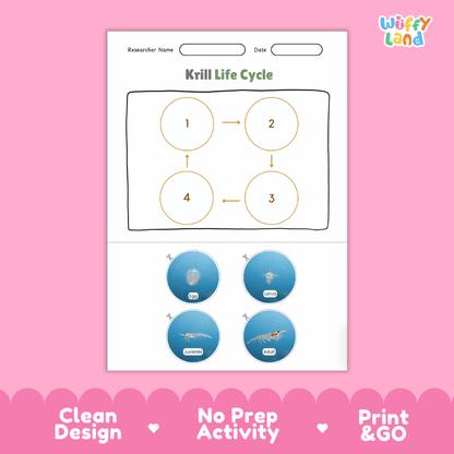 Krill Life Cycle Poster and Cut and Paste Activity Worksheets