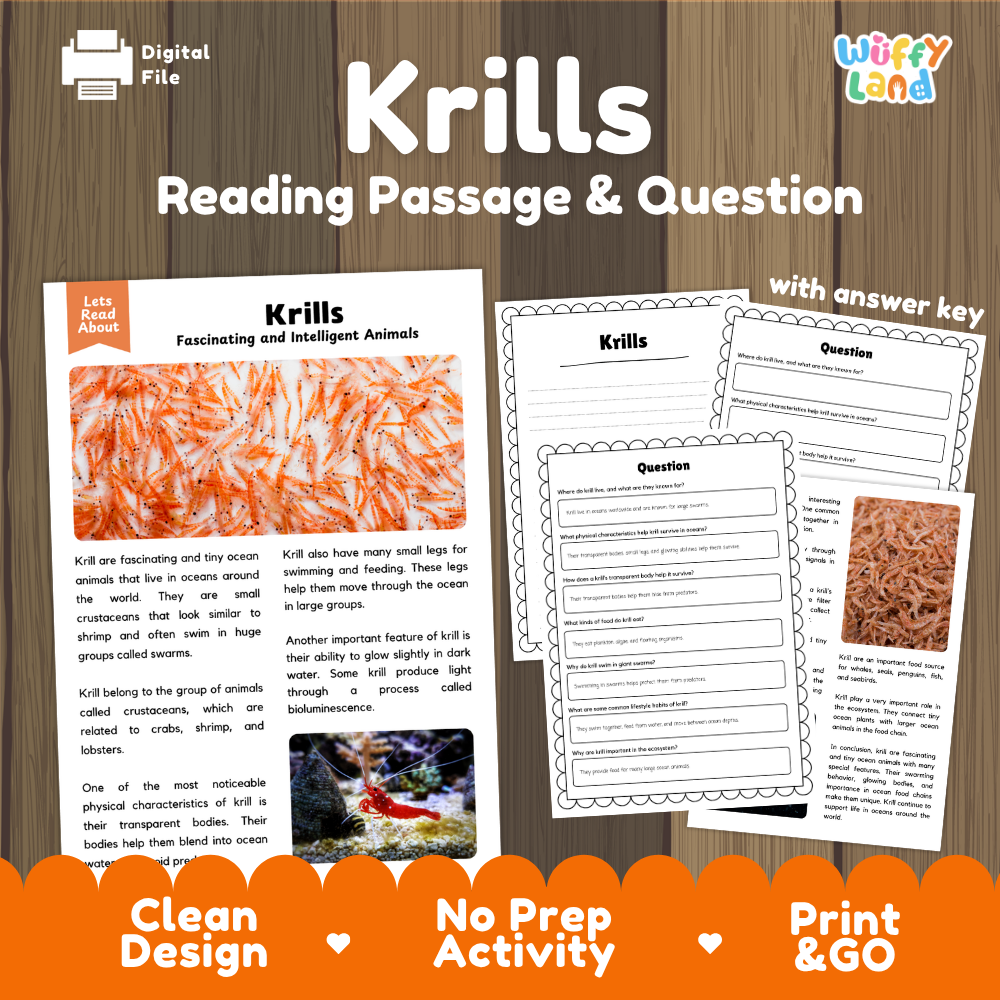 Krill Reading Passage and Comprehension Questions Worksheets