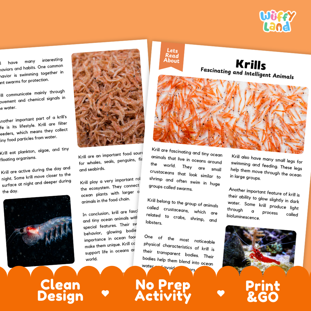 Krill Reading Passage and Comprehension Questions Worksheets